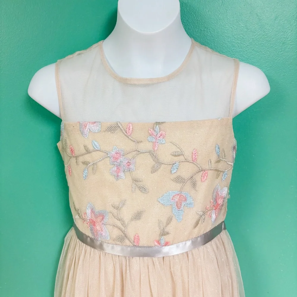 NWT Rare Editions Cream Mesh Floral Embroidered Tulle Skirt Formal Maxi Dress 10